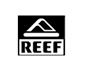 reef surfing