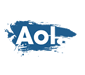AOL
