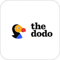 The dodo