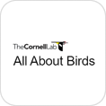 allaboutbirds.org