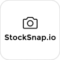 stocksnap