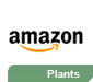 Plants at Amazon