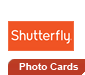 shutterfly cards thanksgiving greeting and photo cards