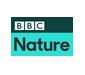 bbc nature fish