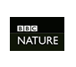 bbc nature
