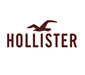 hollisterco