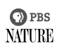 Nature on PBS