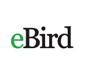 ebird