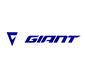 giant bicycles