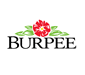 Burpee