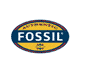 Fossil