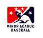 Minor League Baseball